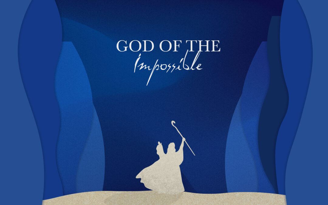 Graduation and Youth Conference Theme